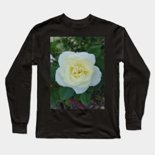 Yellow rose Long Sleeve T-Shirt